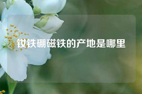 釹鐵硼磁鐵的產(chǎn)地是哪里