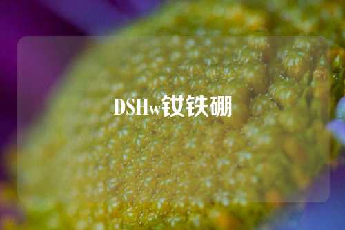 DSHw釹鐵硼