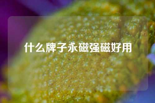 什么牌子永磁強(qiáng)磁好用