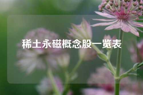 稀土永磁概念股一覽表