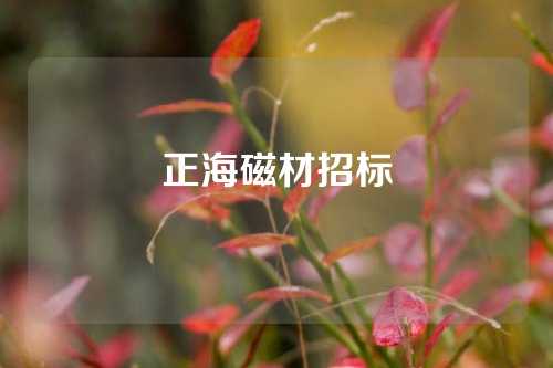 正海磁材招標(biāo)