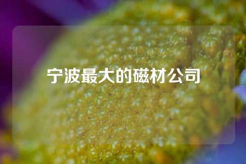 寧波最大的磁材公司