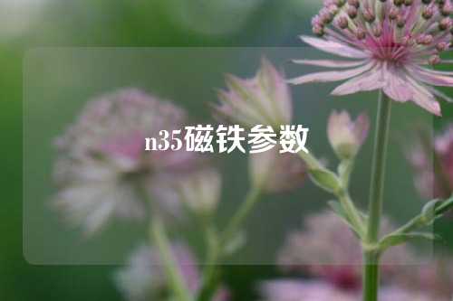 n35磁鐵參數