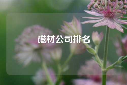 磁材公司排名