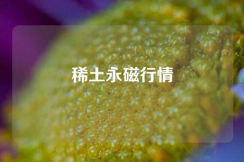 稀土永磁行情