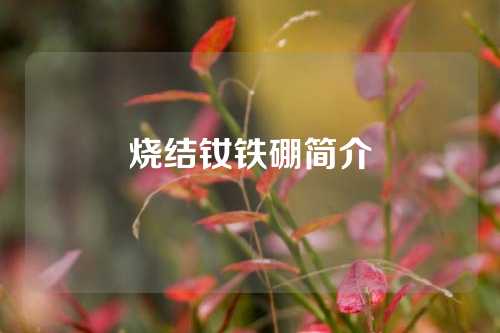 燒結(jié)釹鐵硼簡(jiǎn)介