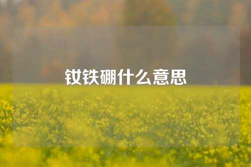 釹鐵硼什么意思