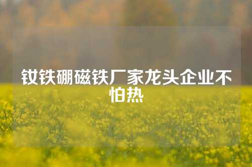 釹鐵硼磁鐵廠家龍頭企業不怕熱