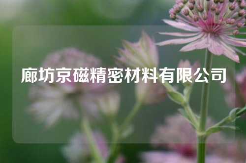 廊坊京磁精密材料有限公司