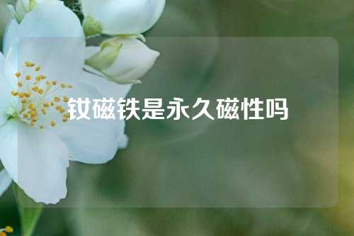 釹磁鐵是永久磁性嗎