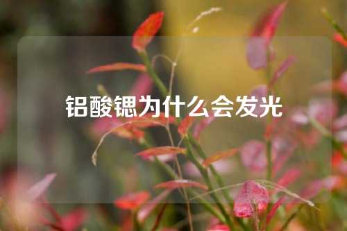 鋁酸鍶為什么會(huì)發(fā)光