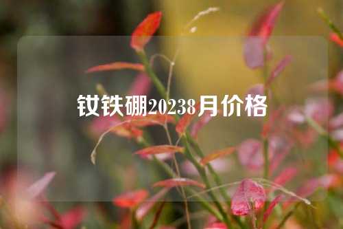 釹鐵硼20238月價格