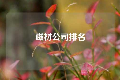 磁材公司排名