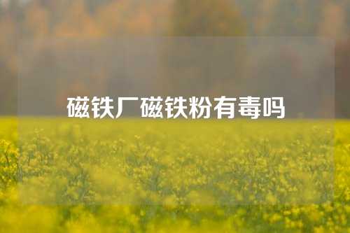 磁鐵廠磁鐵粉有毒嗎