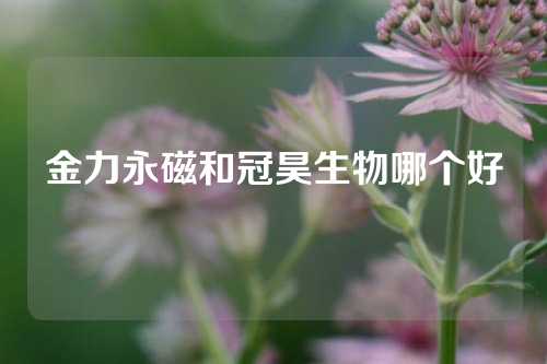 金力永磁和冠昊生物哪個好