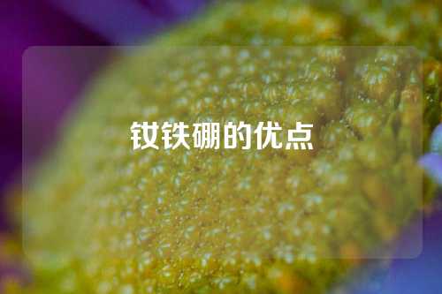 釹鐵硼的優(yōu)點(diǎn)