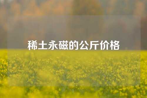 稀土永磁的公斤價格