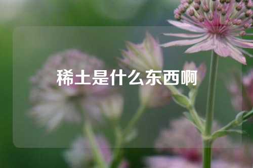 稀土是什么東西啊