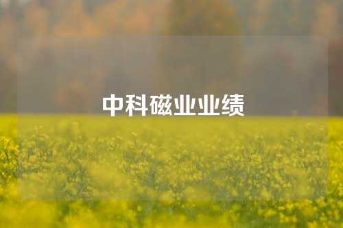 中科磁業業績