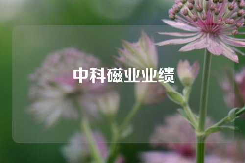 中科磁業業績