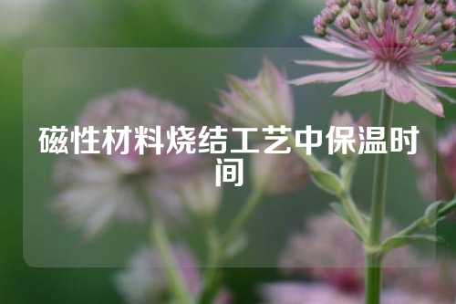 磁性材料燒結工藝中保溫時間