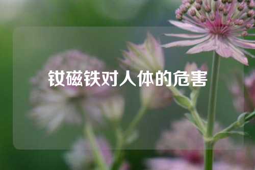 釹磁鐵對(duì)人體的危害