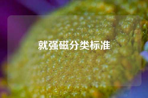 就強磁分類標準