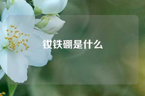 釹鐵硼是什么