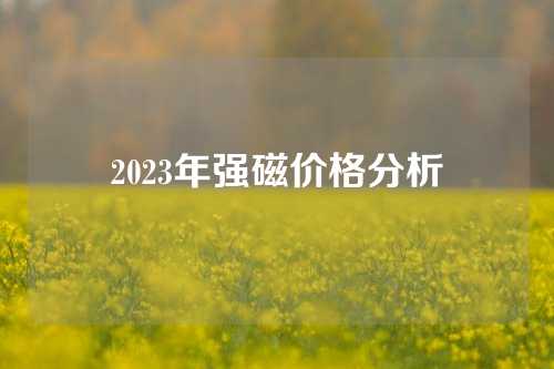 2023年強(qiáng)磁價格分析