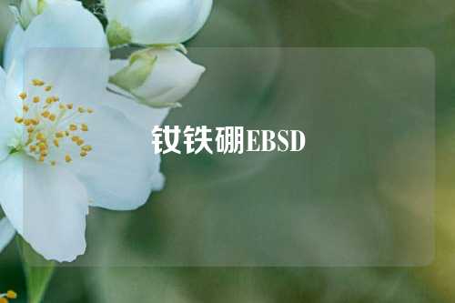 釹鐵硼EBSD