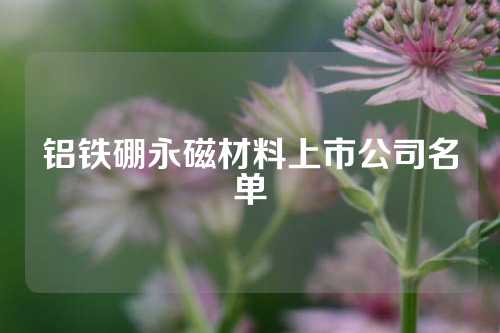 鋁鐵硼永磁材料上市公司名單