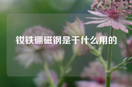 釹鐵硼磁鋼是干什么用的