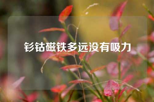 釤鈷磁鐵多遠(yuǎn)沒有吸力