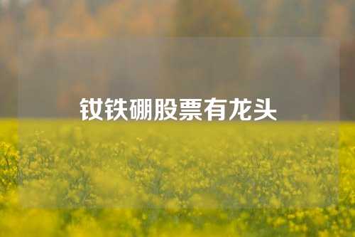 釹鐵硼股票有龍頭