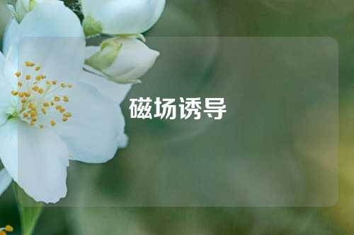 磁場誘導(dǎo)