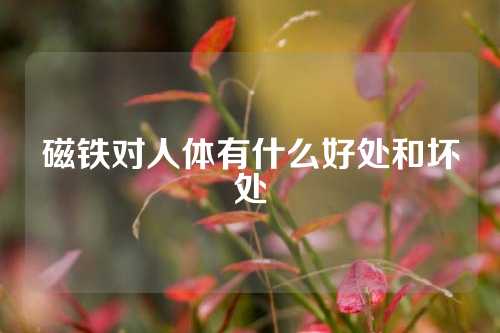 磁鐵對人體有什么好處和壞處