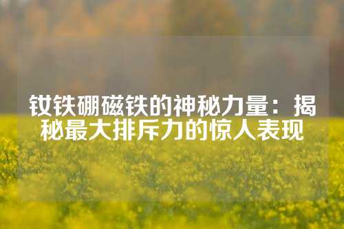 釹鐵硼磁鐵的神秘力量：揭秘最大排斥力的驚人表現