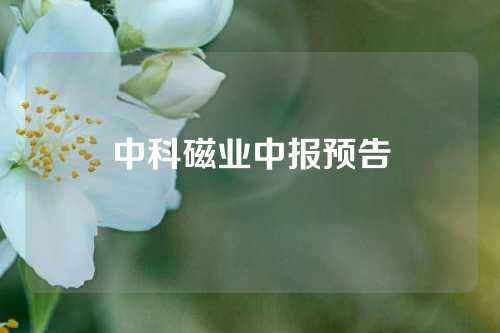 中科磁業(yè)中報(bào)預(yù)告