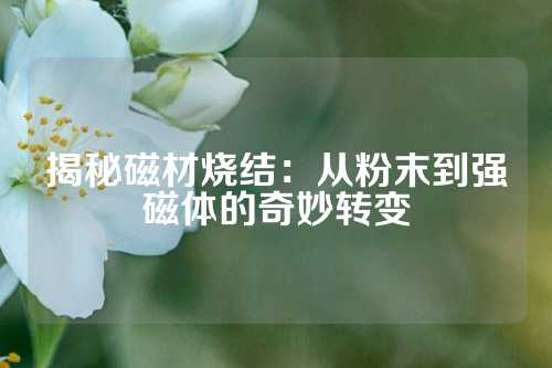 揭秘磁材燒結(jié)：從粉末到強磁體的奇妙轉(zhuǎn)變