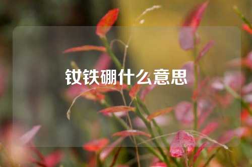 釹鐵硼什么意思