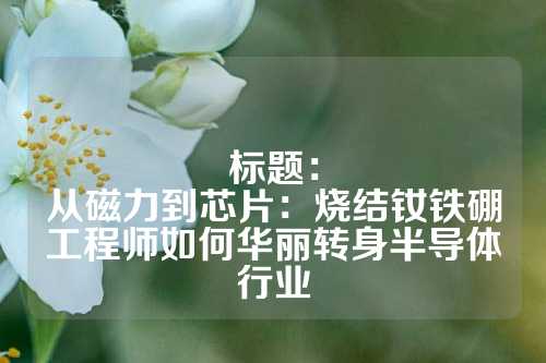 標(biāo)題：
從磁力到芯片：燒結(jié)釹鐵硼工程師如何華麗轉(zhuǎn)身半導(dǎo)體行業(yè)