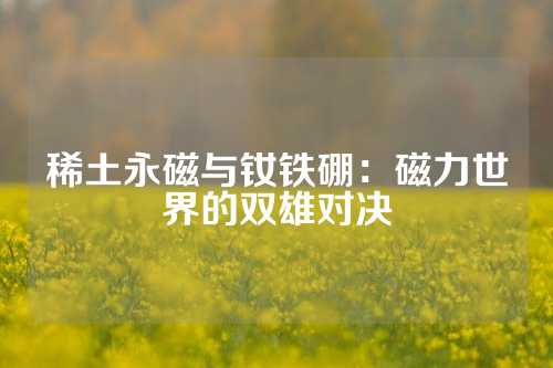 稀土永磁與釹鐵硼：磁力世界的雙雄對(duì)決