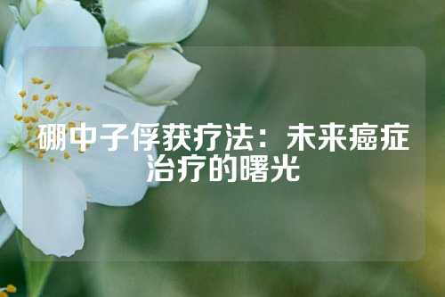 硼中子俘獲療法：未來癌癥治療的曙光