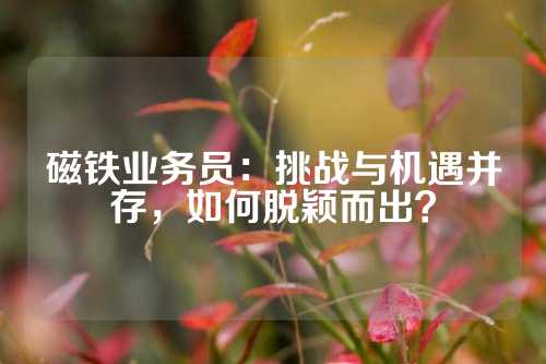 磁鐵業(yè)務(wù)員：挑戰(zhàn)與機(jī)遇并存，如何脫穎而出？