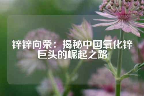 鋅鋅向榮：揭秘中國氧化鋅巨頭的崛起之路