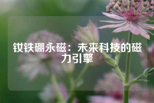 釹鐵硼永磁：未來科技的磁力引擎