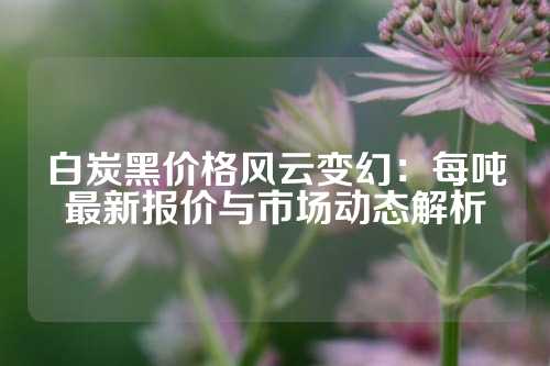 白炭黑價格風云變幻：每噸最新報價與市場動態解析