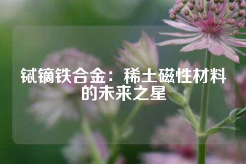 鋱鏑鐵合金：稀土磁性材料的未來之星