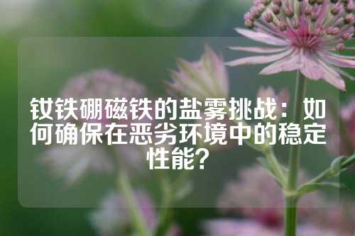 釹鐵硼磁鐵的鹽霧挑戰：如何確保在惡劣環境中的穩定性能？