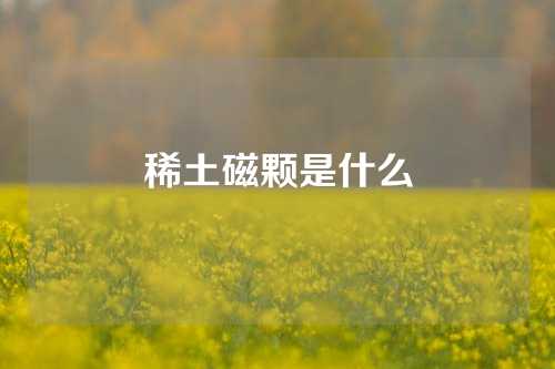 稀土磁顆是什么